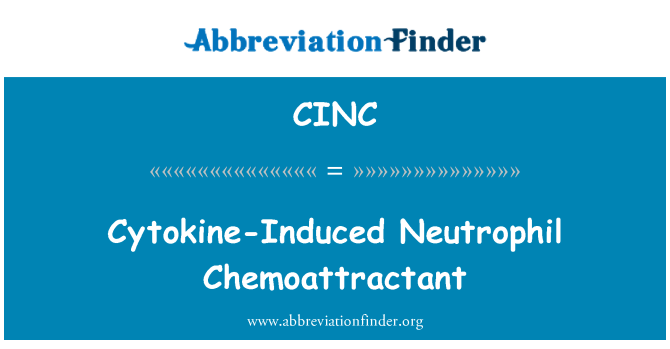 CINC: Cytokine par Neutrophil Chemoattractant