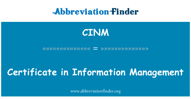CINM: Zertifikat im Bereich Informationsmanagement