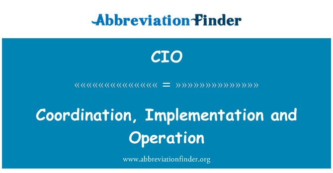 CIO: Coördinatie, implementatie en werking