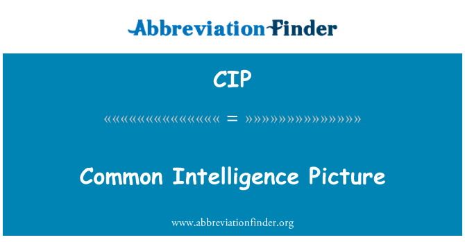 CIP: 常见的情报图片