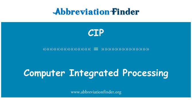 CIP: Computer geïntegreerd Processing
