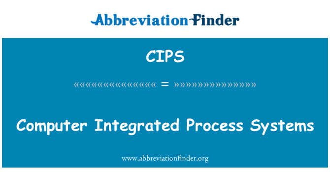 CIPS: 计算机集成过程系统