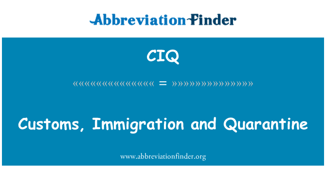 CIQ: Customs, Immigration and Quarantine