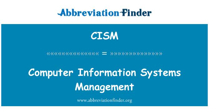 CISM: Počítačové informační systémy řízení