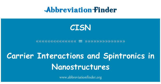 CISN: Bärare interaktioner och spinntronik i nanostrukturer