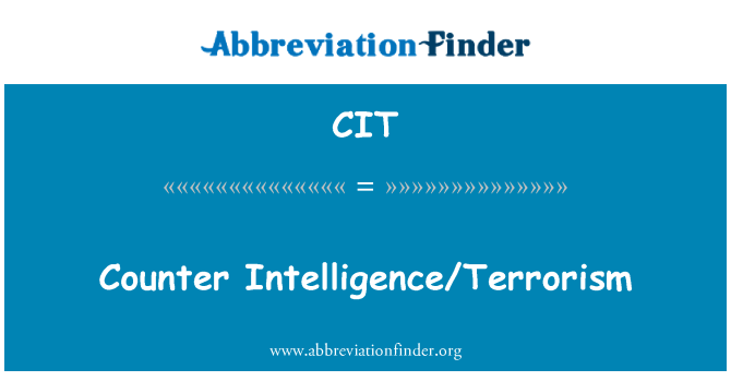CIT: Inteligence protiteroristickou