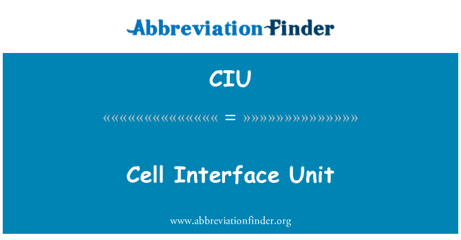 CIU: Cell Interface Unit