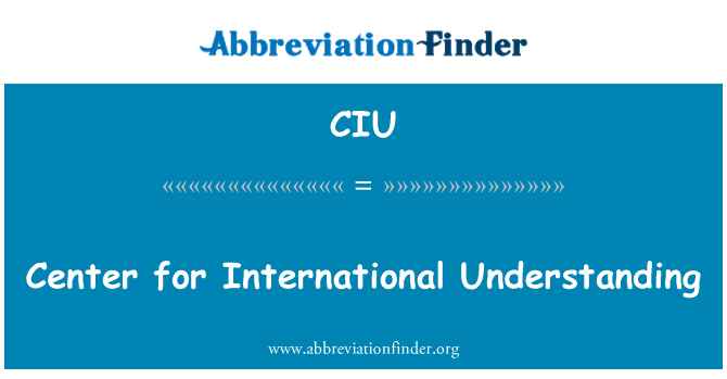 CIU: 中心的国际谅解