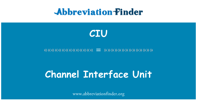 CIU: چینل انٹرفیس یونٹ