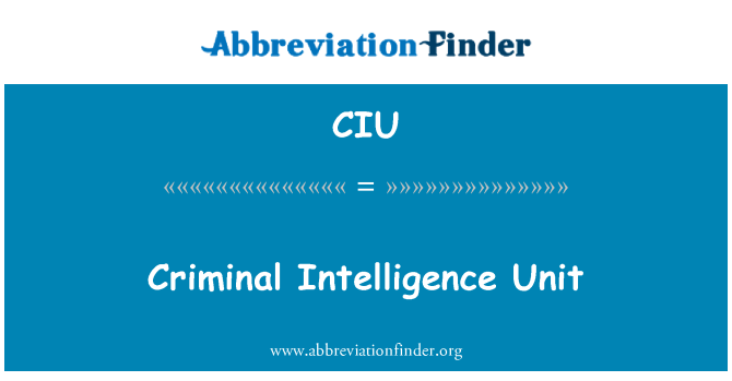 CIU: Criminal Intelligence Unit