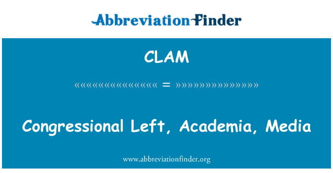 CLAM: Mídia de esquerda no Congresso, Academia,