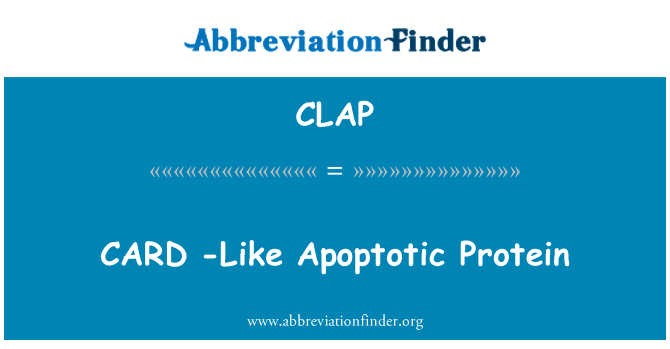 CLAP: KAT - tankou Protéines Apoptotic