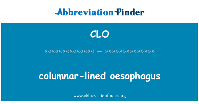 CLO: Einspaltig gesäumten Speiseröhre