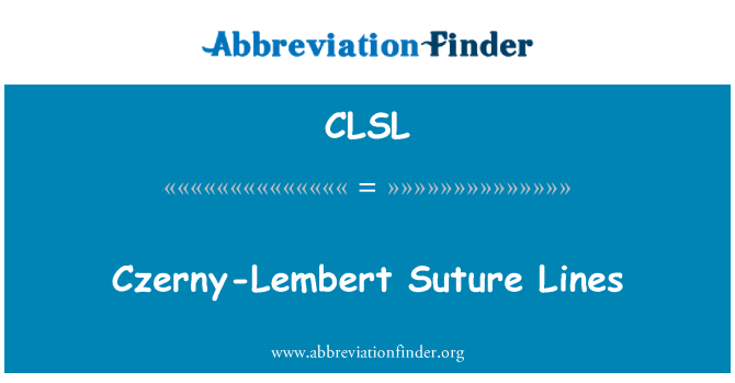 CLSL: Czerny-Lembert Naht Linien