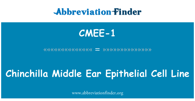 CMEE-1: Csincsilla középfül epithelialis sejtek sorban