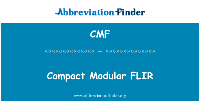 CMF: 소형 모듈형 FLIR
