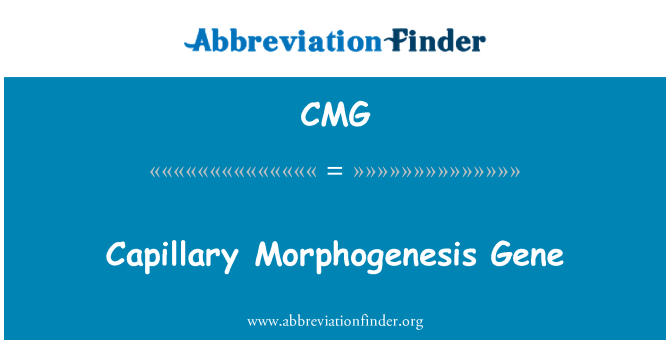 CMG: केशिका Morphogenesis जीन