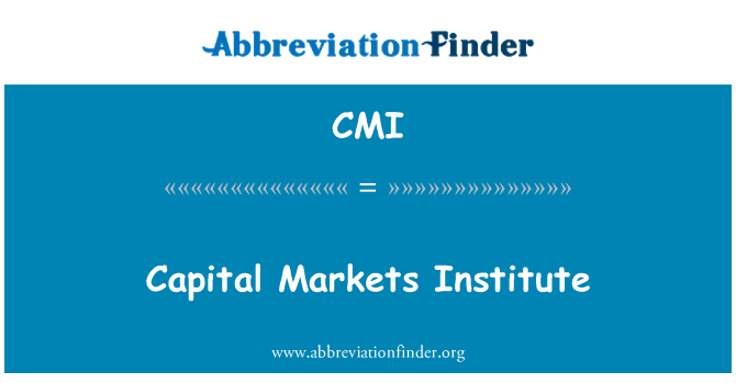 CMI: Kapitaal markten Instituut