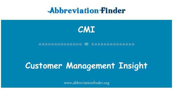 CMI: 客户管理的深刻见解