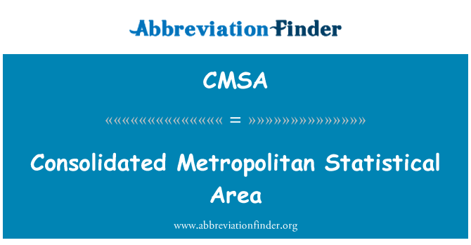 CMSA: Consolidated Metropolitan Statistical Area
