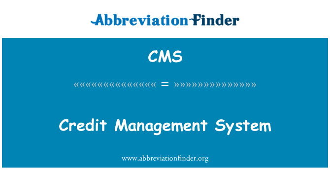 CMS: 信贷管理系统