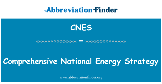 CNES: Comprehensive National Energy Strategy