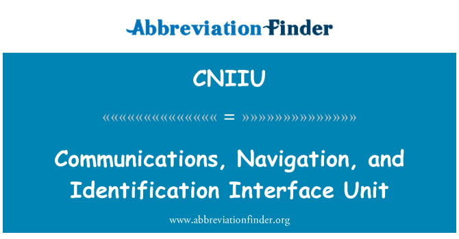 CNIIU: 통신, 탐색 및 식별 인터페이스 유닛