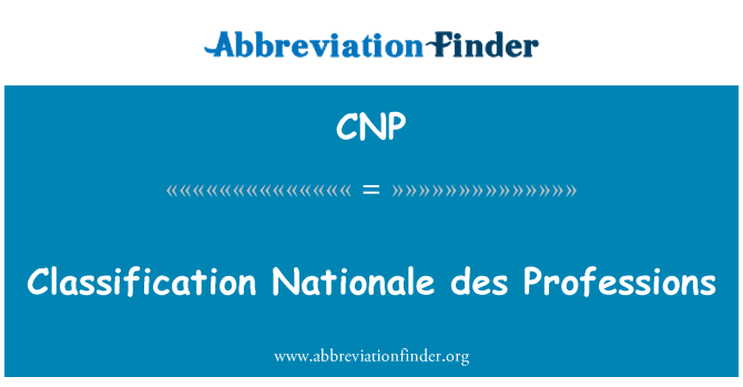 CNP: Classificazione Nationale des professioni