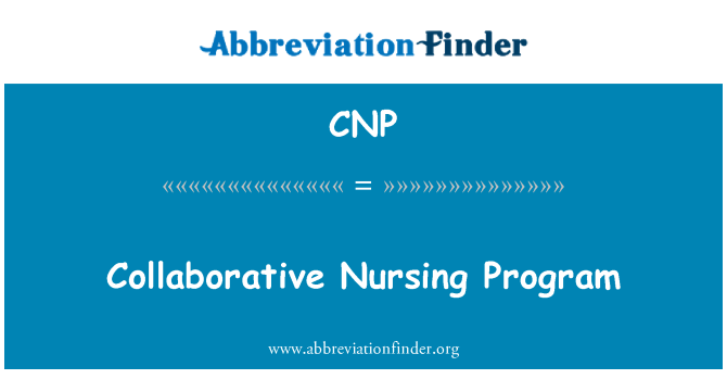 CNP: Nursing sadarbības programma