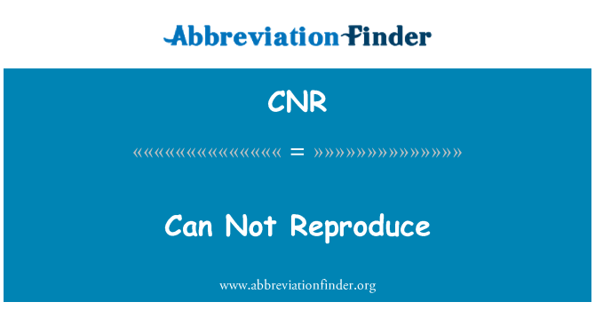 CNR: Non può riprodurre