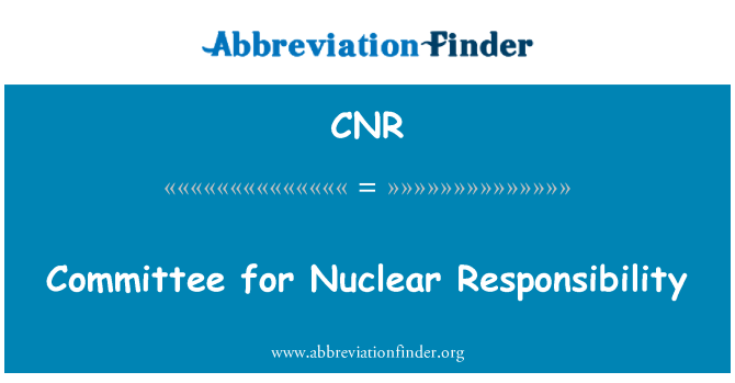 CNR: کمیته مسئولیت های هسته ای