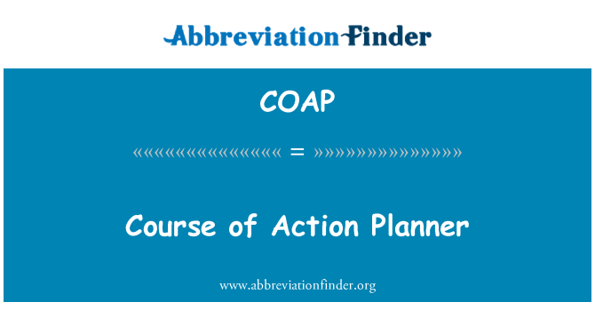 COAP: 行动计划的过程