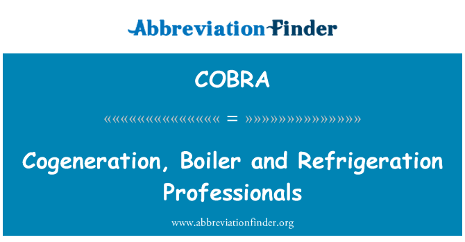 COBRA: Cogénération, chodyè Et Professionnels efrijerasyon