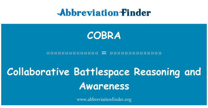 COBRA: Kolaborativní Battlespace uvažování a povědomí
