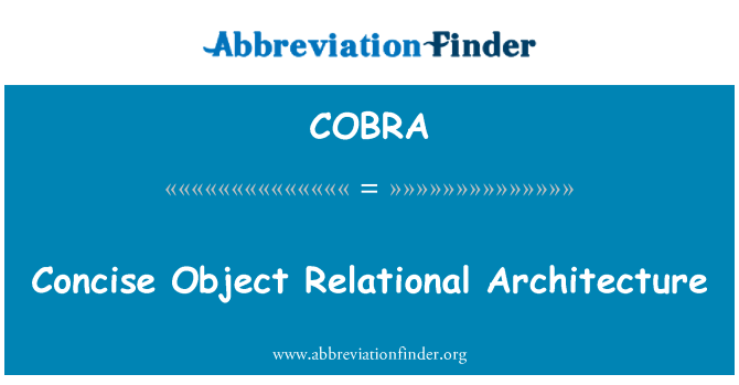 COBRA: Arsitektur relasional objek ringkas