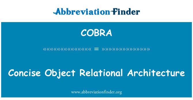 COBRA: Achitekti Relationnelles Objet kout