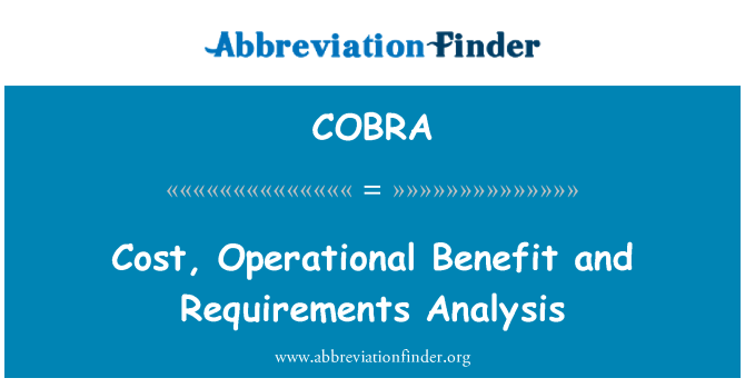 COBRA: 成本、 運營效益和需求分析