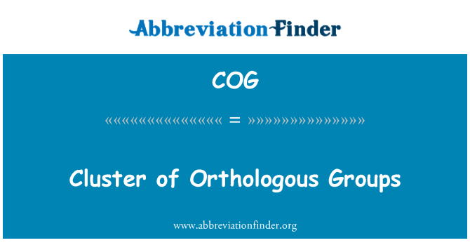 COG: Kiszolgálófürt-csoportok Orthologous