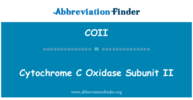 COII: Cytochrom C Oxidase Untereinheit II