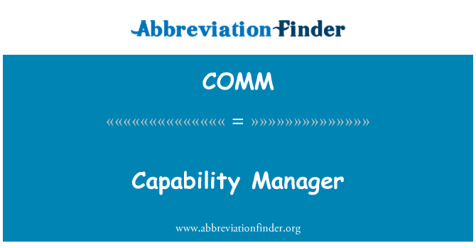 COMM: Capability Manager