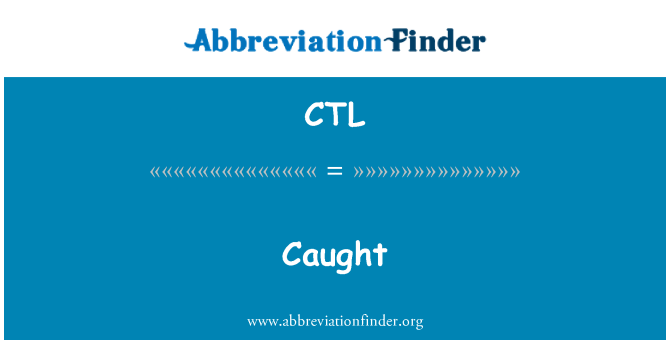 CTL: 抓到