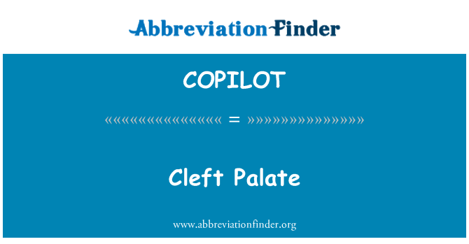 COPILOT: Suulaelõhe