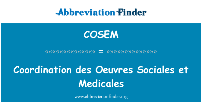 COSEM: תיאום des ומשבשות Sociales ואח Medicales