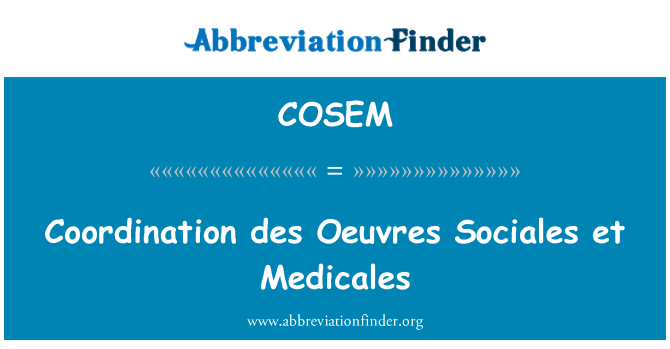 COSEM: Koordinace des předkrmy Sociales et Medicales