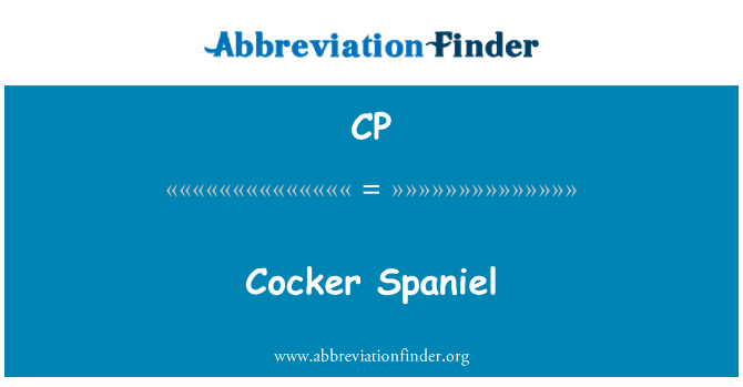 CP: COCKER Spaniel