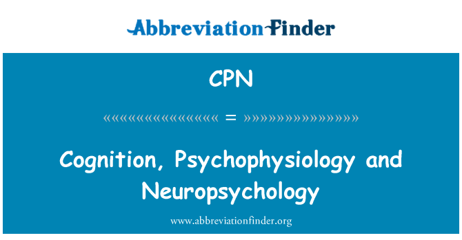 CPN: 認知、 心理生理學和神經心理學