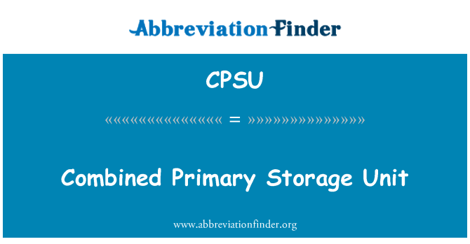 CPSU: Combined Primary Storage Unit