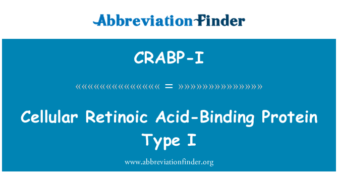 CRABP-I: Celluláris retinol sav-kötő fehérje-típusú