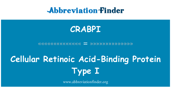 CRABPI: Hücresel retinoik asit-bağlayıcı Protein tip ı