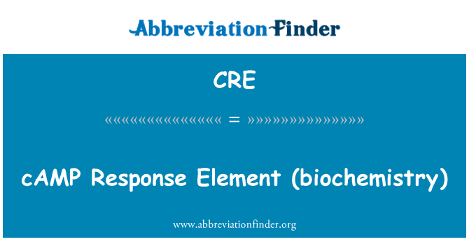 CRE: Stovykla atsakas elementas (biochemija)